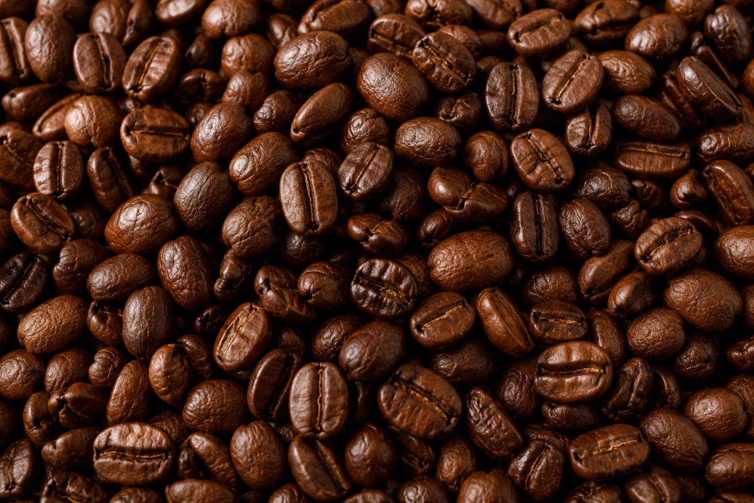 Quiet Coffee Roasters